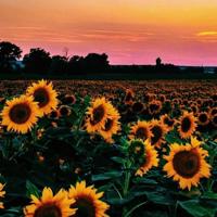 和过去的自己相遇