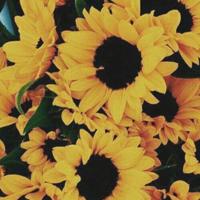 从太平间出来的女护士