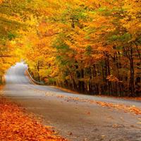 匹夫爱情，一统江湖