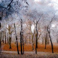 三次婚姻找到幸福归宿