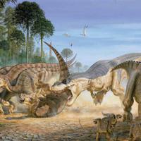 不能忘却的执念