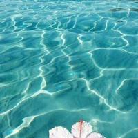 笑侃大学生活的搞笑雷语