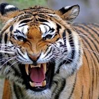 正能量激励人的好句子图片