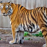 加班等上班族的爆笑幽默糗事