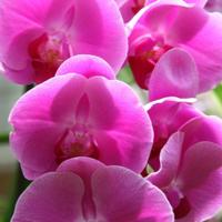 2014最新小学班级口号大全