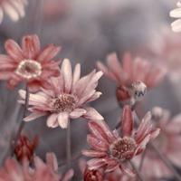 世上最可怕的两个字