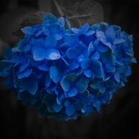 婚姻里跟上脚步