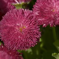 兜兜转转，我又回到了原地