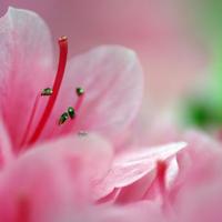 爱情里的路人甲