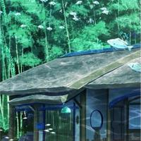 杨澜的最新比较不错的语录分享