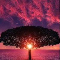 有些念念不忘，一辈子都不会有回响