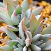 不要招惹有夫之妇我跟你说过多少遍啦幽默小笑话