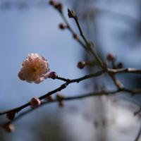 王亦标：关于书籍 ——写在世界读书日