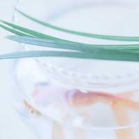 你在我心里,不离不弃