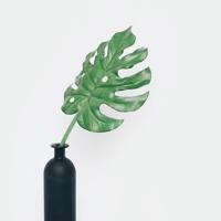 三次刻骨铭心地撒谎