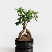 伴随一生的美文美句摘抄