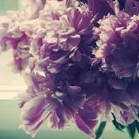 50种珍惜生命的态度