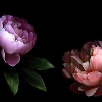 用心铭记婆婆付出的每一份好