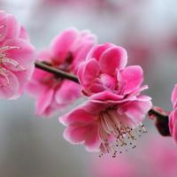 “百吵不分”就是好婚姻