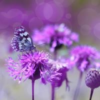 超搞笑的笑话5个放屁笑话!