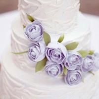 如果可以选择，谁不愿意成为一个孩子呢？