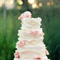 如果爱不曾来过