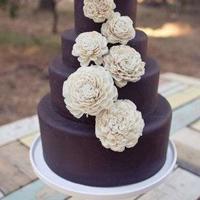 365个职业灵异故事:营养师