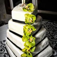 关于人生经典语录选集