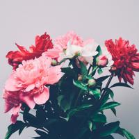 男人25岁前的忠告