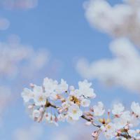 这样平淡却幸福的度过一生