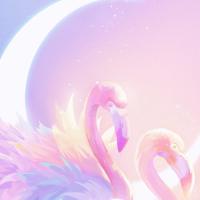 对错都是为了爱