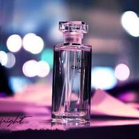 爱情等于五百棵树