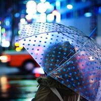 (校园爱情文章)爱一个人是用眼睛
