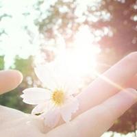 友情,岁月,执手