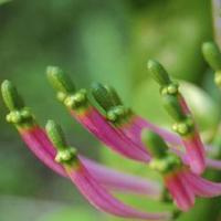 微笑不用花一分钱,但是却永远价值连城。令人反省深思的语录