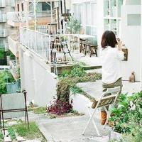 今夜里窗外飘起了雪花