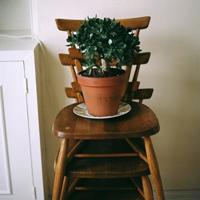 和你结婚的人不一定是你最爱的人 终于明白了