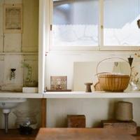 薄凉的岁月,温暖的秋