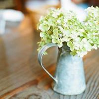 说出你的心愿来