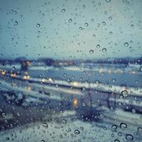 请允许我尘埃落定