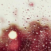 世上最好的房子