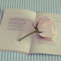 真情实感之父亲篇——爸爸是我的偶像