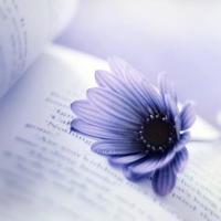 生活本来就很艰难，所以更不应该辜负自己