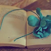 青春励志语录,青春励志的话