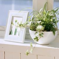 今生有你不孤单散文欣赏