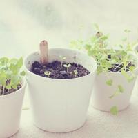 愿我们,都有能力爱自己,有余力爱别人。