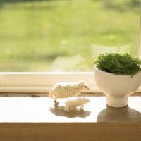 亲情友情爱情经典语录 亲情友情爱情的经典句子