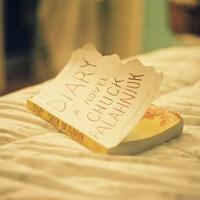 趁阳光正暖,我想出去走走