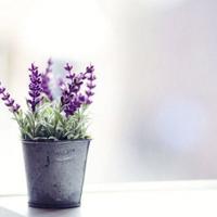 追求女孩子的必修方法五招术