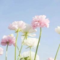 搞笑短信 笑死人-去床上吧!